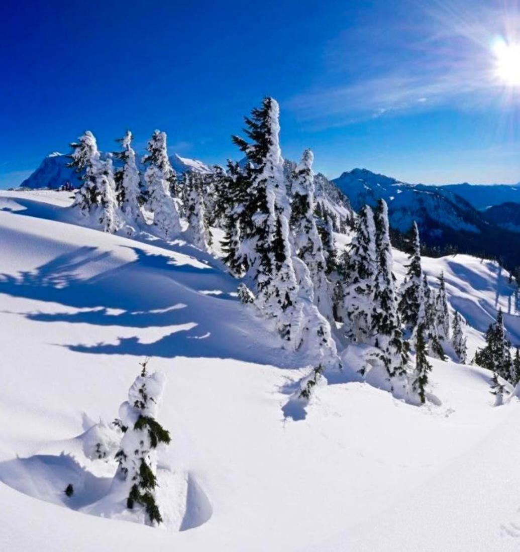 Casa Vacanza Il Rifugio روكاراسو المظهر الخارجي الصورة